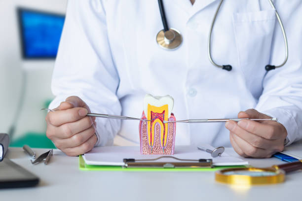 Best Knocked-Out Tooth (Avulsed Tooth) Treatment in Newburgh Heights, OH